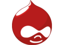 Drupal icon in red colorway