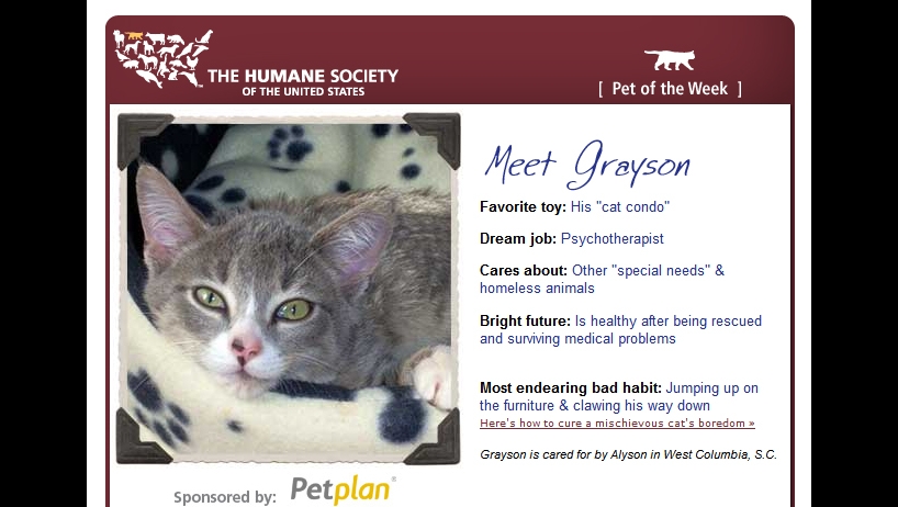 Humane Society of the Unietd States Pet of the Week newsletter